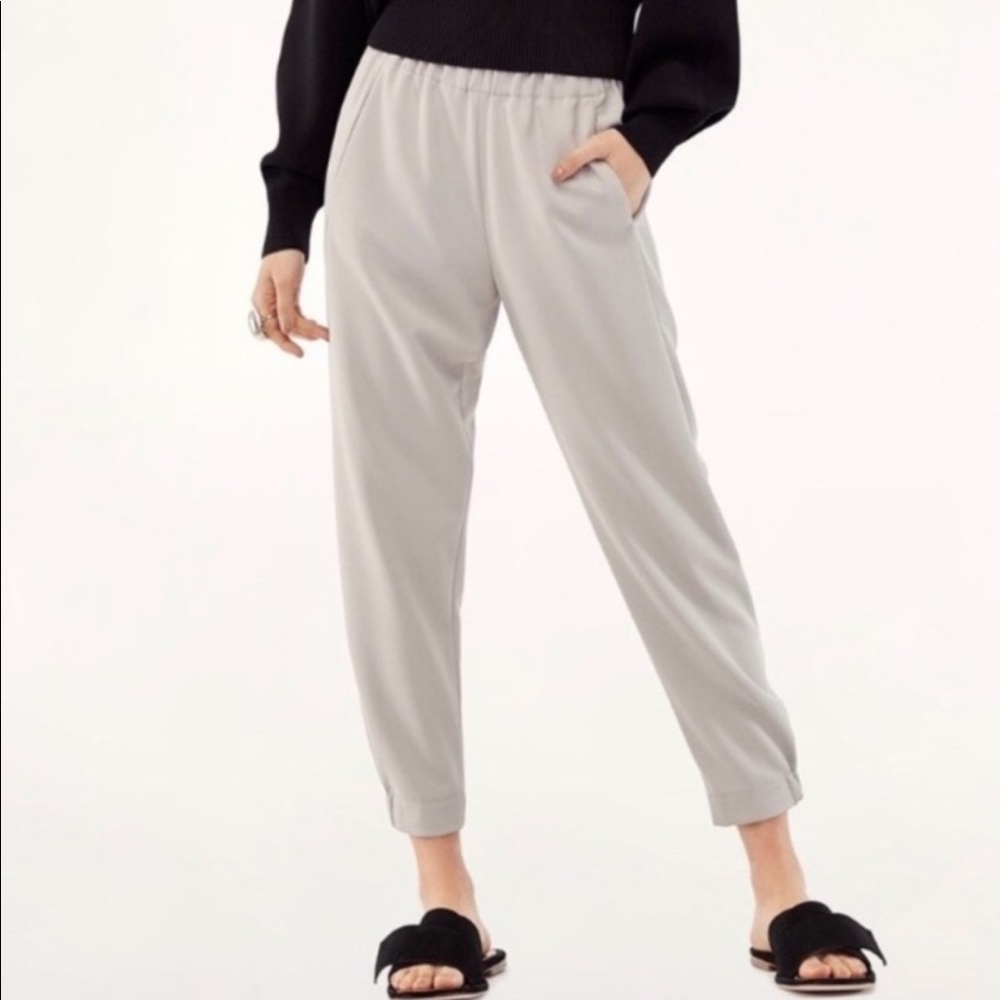 Aritzia Babaton Dexter Ankle Pant